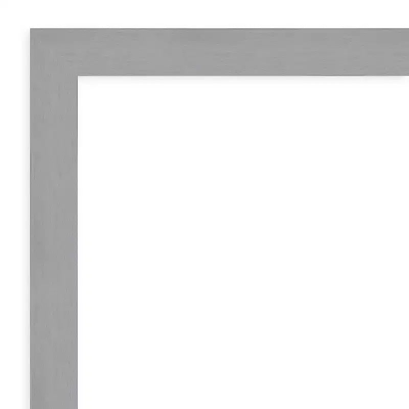 22" x 28" Brushed Nickel Framed Wall Mirror Silver: Modern Rectangle Beveled, No Assembly Required